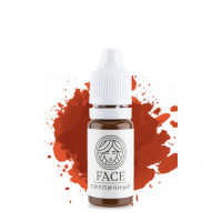 Пигмент FACE Кирпичный (корректор гибридный)